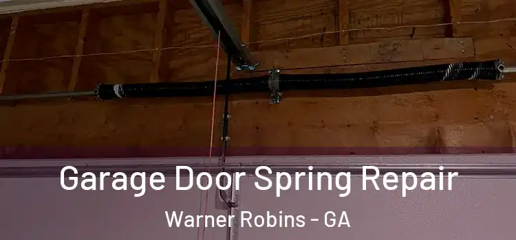  Garage Door Spring Repair Warner Robins - GA